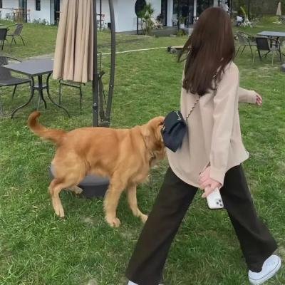 秩序的守护者