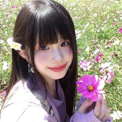 金甲风暴